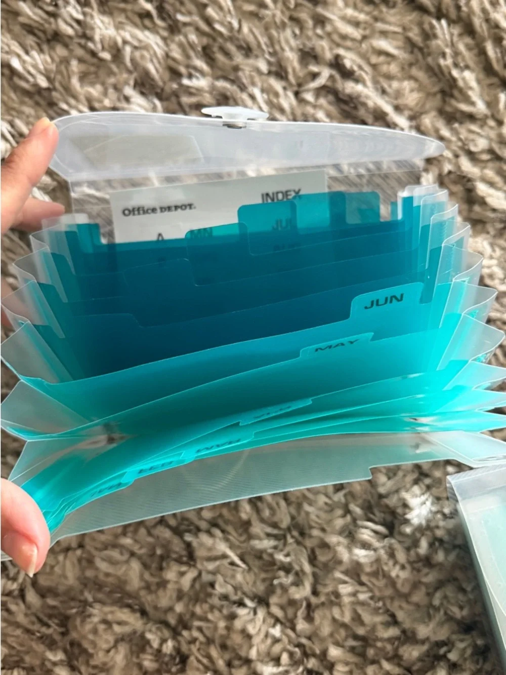 Clear Envelope Accordion File Organizer with Teal Dividers